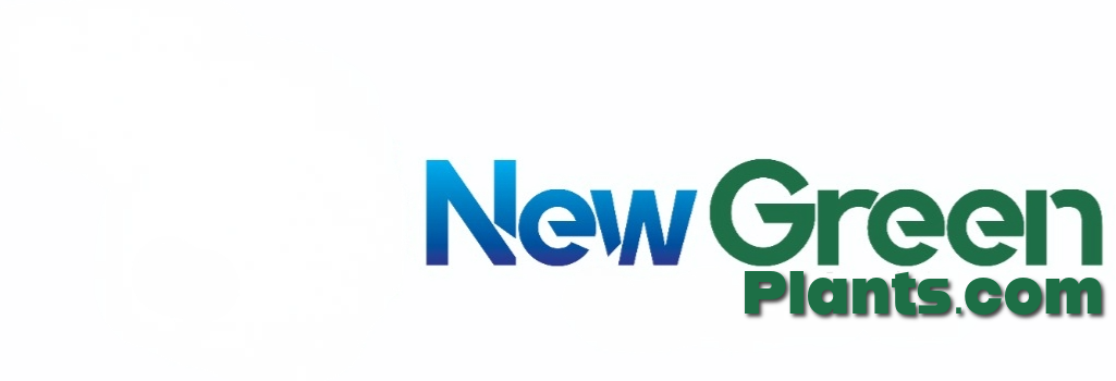 NewGreenPlants.com